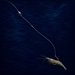 Ghost Shrimp / Sand Crab Finesse Rig diagram